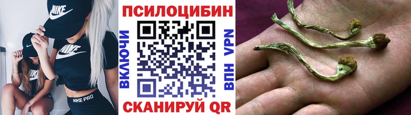 МЕГА ONION  Нижняя Салда  Псилоцибиновые грибы Psilocybine cubensis 